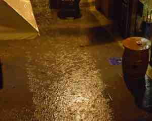 The river that used to be our street last night. Another nominee for worst photo on this blog!